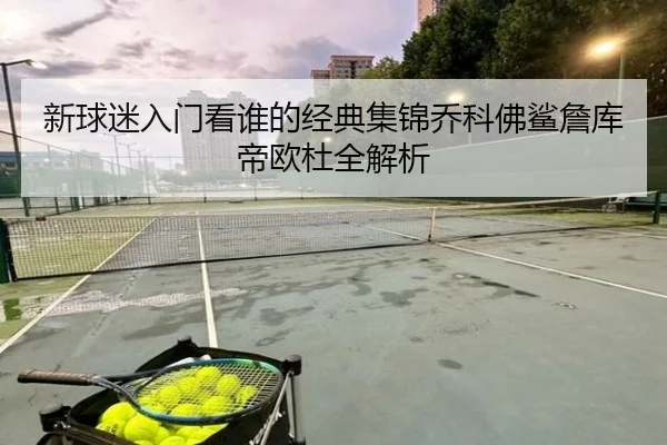 新球迷入门看谁的经典集锦乔科佛鲨詹库帝欧杜全解析（YaxinSports）